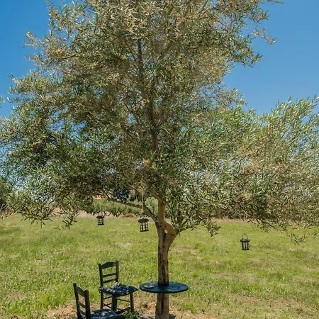 Casa Di Campo- Relax Only 5 Minutes Away From The And By Mana Gers Σπίτι διακοπών *