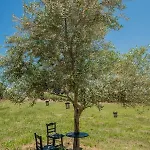 Casa Di Campo- Relax Only 5 Minutes Away From The And By Mana Gers Casa vacanze *